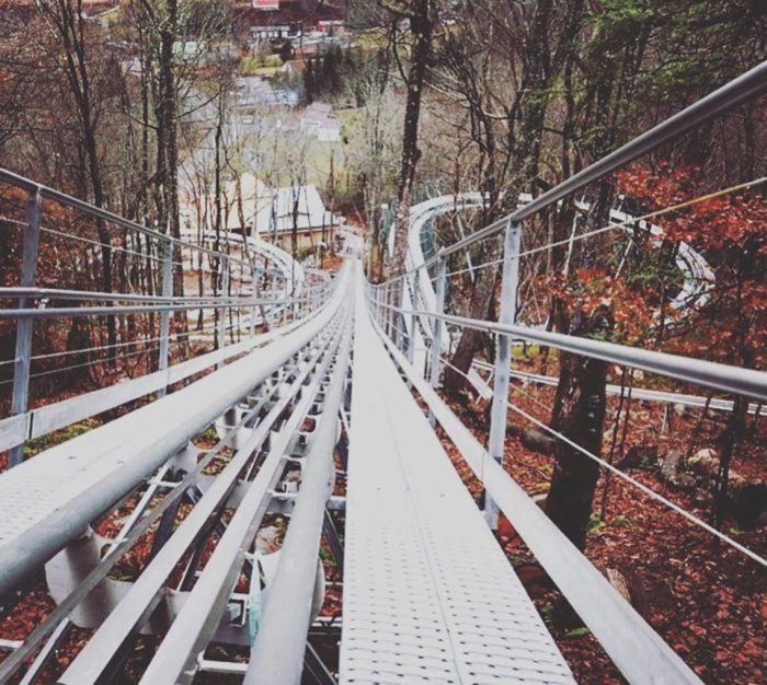 Next Month, North Carolina Is Getting Its First Ever Alpine Coaster