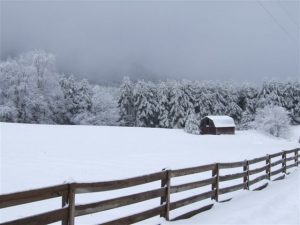 Snow on the Blue Ridge Parkway