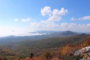 Fall on Rough Ridge Overlook