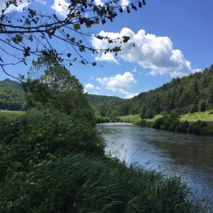 Summer on the New River in Ashe County NC